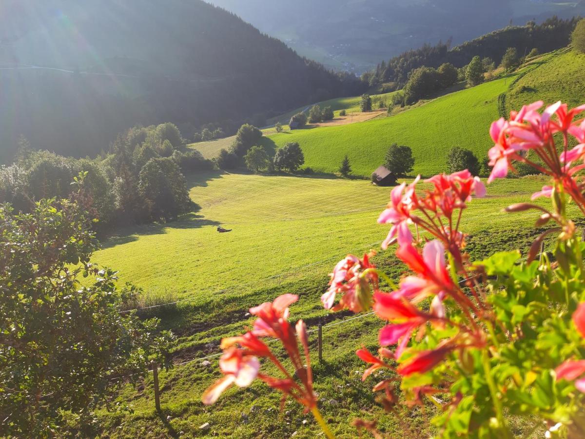 Schirfhof Villa Michaelerberg Bagian luar foto